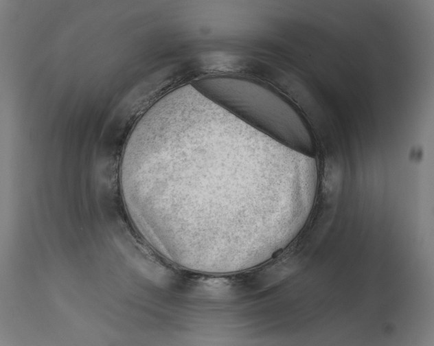 X0000112740409200909171206