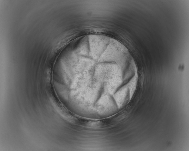 X0000112740410200909171206