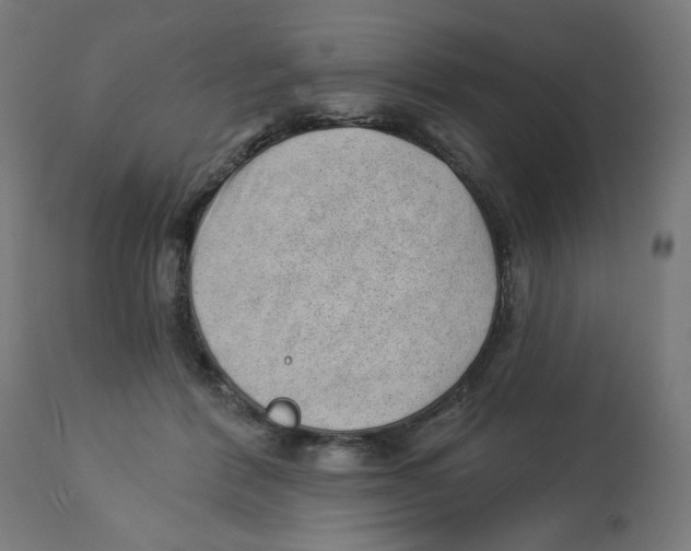 X0000112740412200909171206