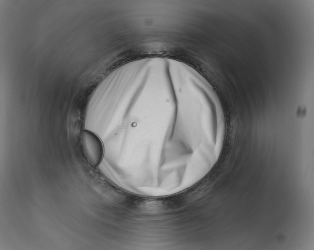 X0000112740413200909171206