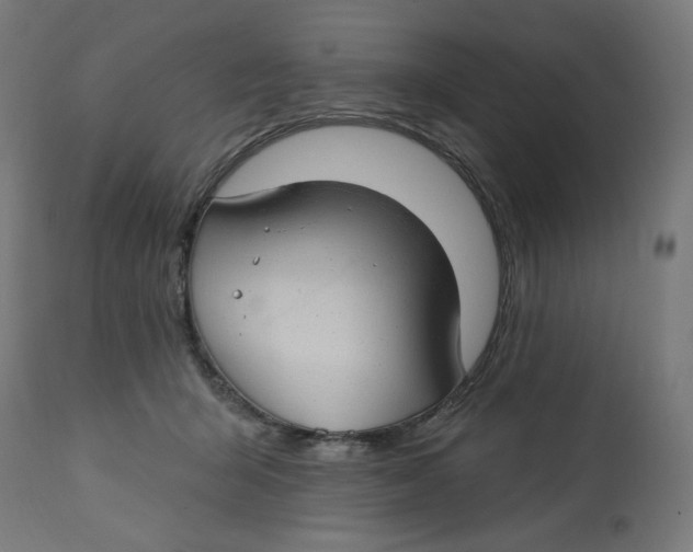 X0000112740415200909171206