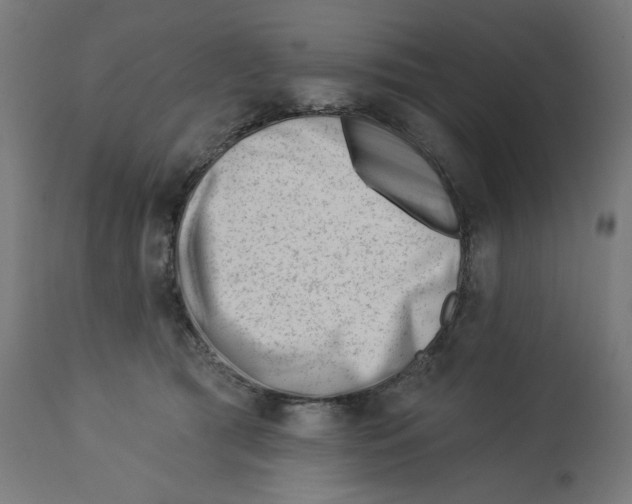 X0000112740417200909171206