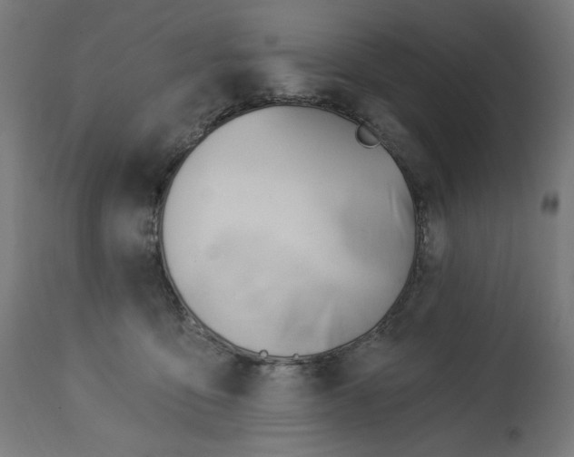 X0000112740419200909171206