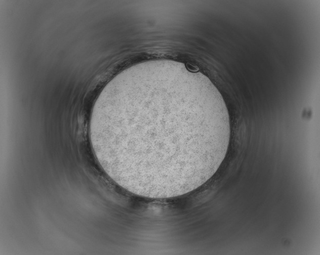 X0000112740420200909171206