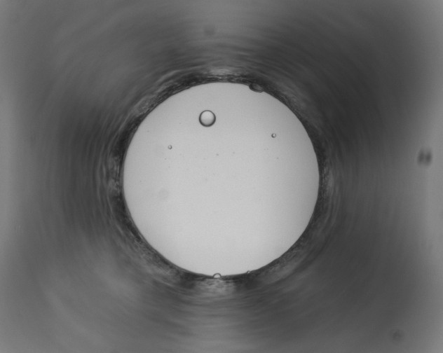 X0000112740421200909171206