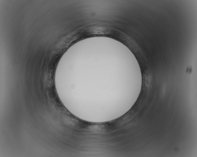 X0000112740422200909171205