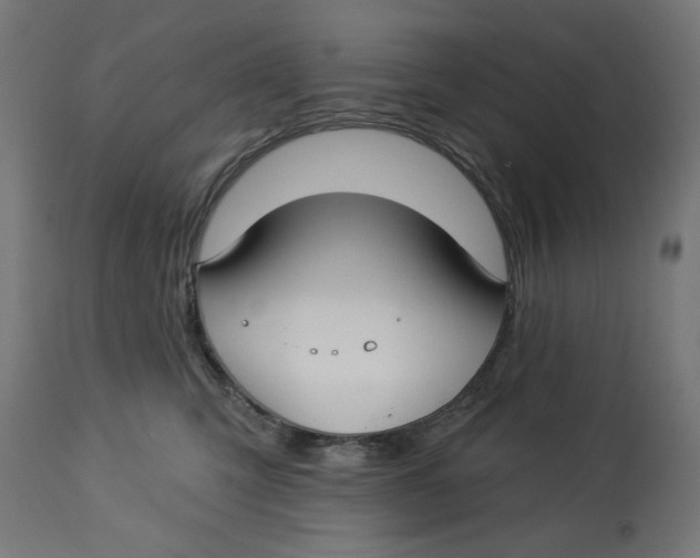 X0000112740423200909171205