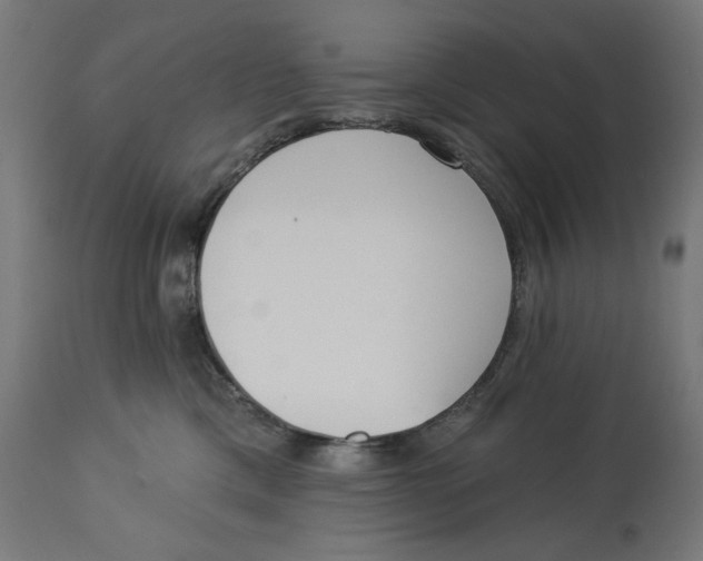 X0000112740425200909171205