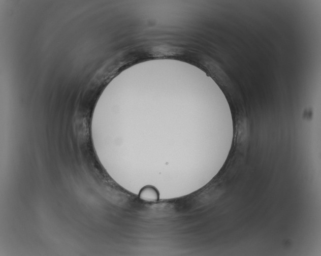 X0000112740426200909171205