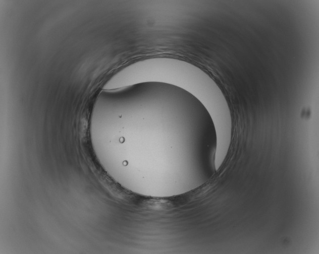 X0000112740427200909171205