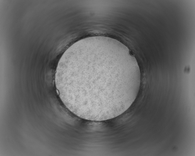 X0000112740428200909171205