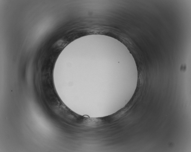 X0000112740429200909171205