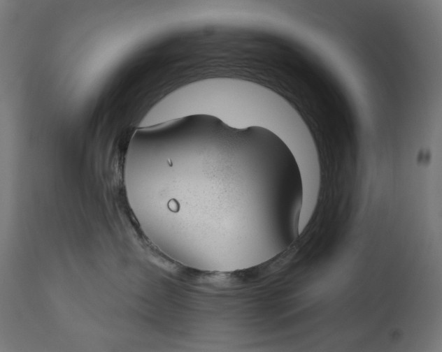 X0000112740431200909171205