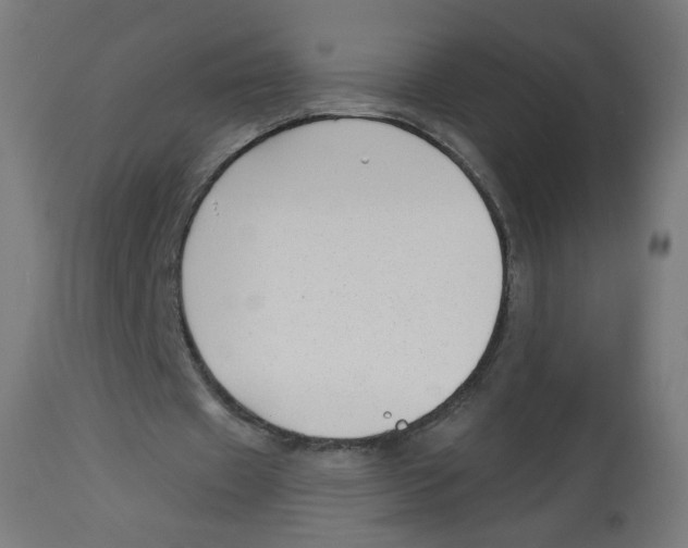 X0000112740433200909171205