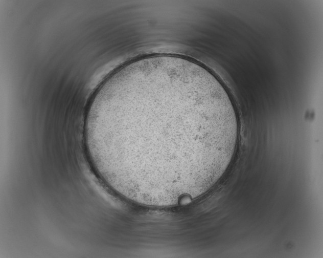 X0000112740437200909171205