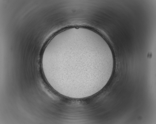 X0000112740439200909171205