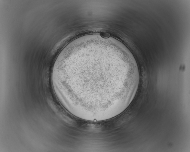 X0000112740442200909171205