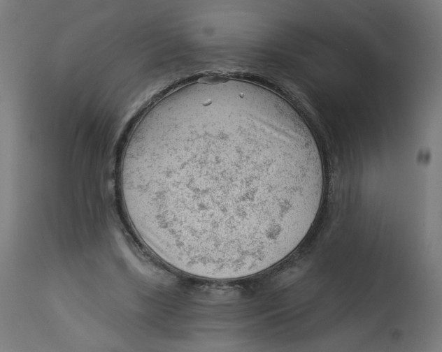 X0000112740443200909171205