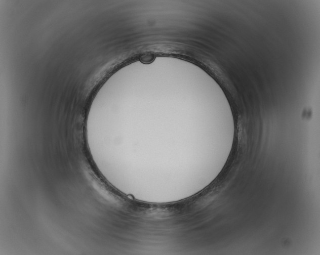 X0000112740445200909171205