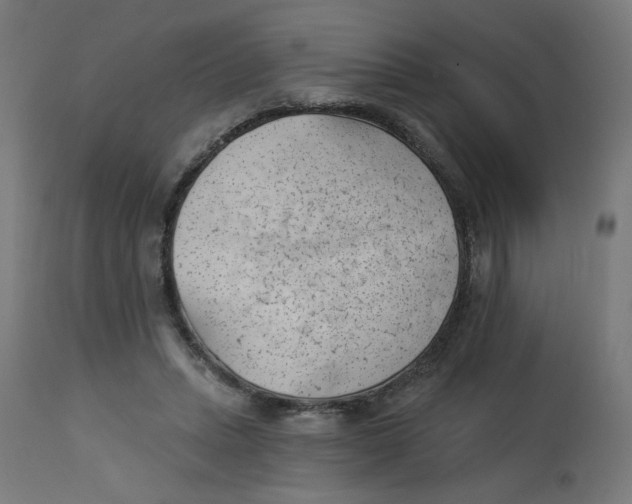 X0000112740447200909171205