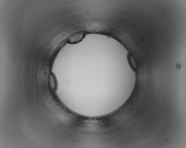 X0000112740448200909171205