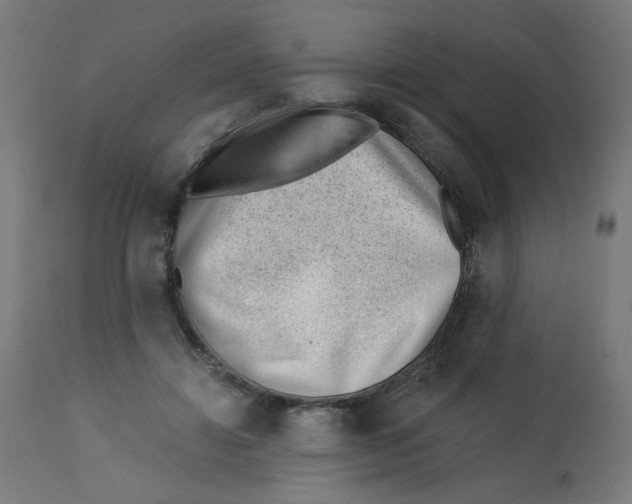 X0000112740452200909171205