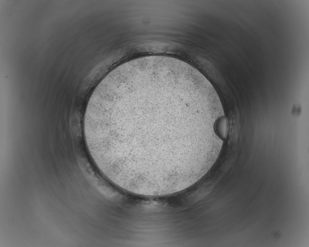 X0000112740453200909171205