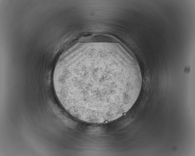 X0000112740454200909171205