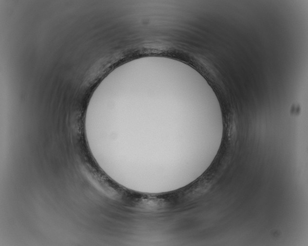 X0000112740455200909171205