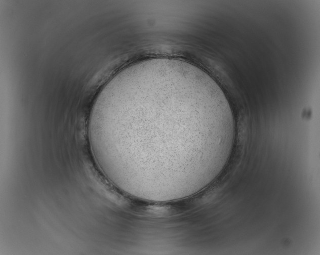 X0000112740457200909171205