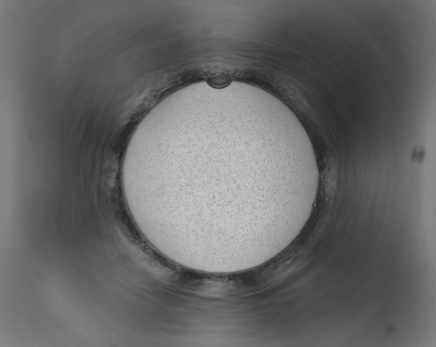 X0000112740458200909171205