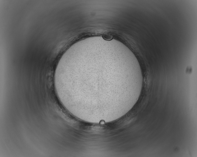 X0000112740462200909171205