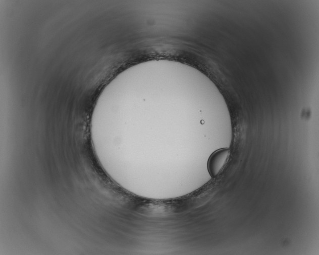 X0000112740464200909171205