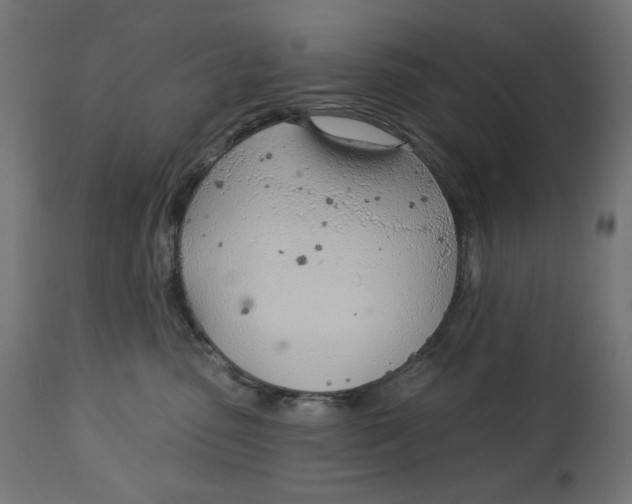 X0000112740475200909171205