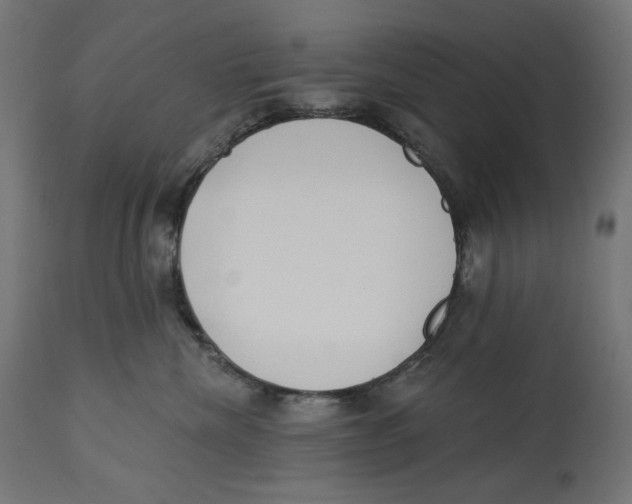 X0000112740476200909171205