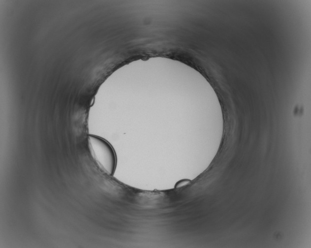 X0000112740480200909171205