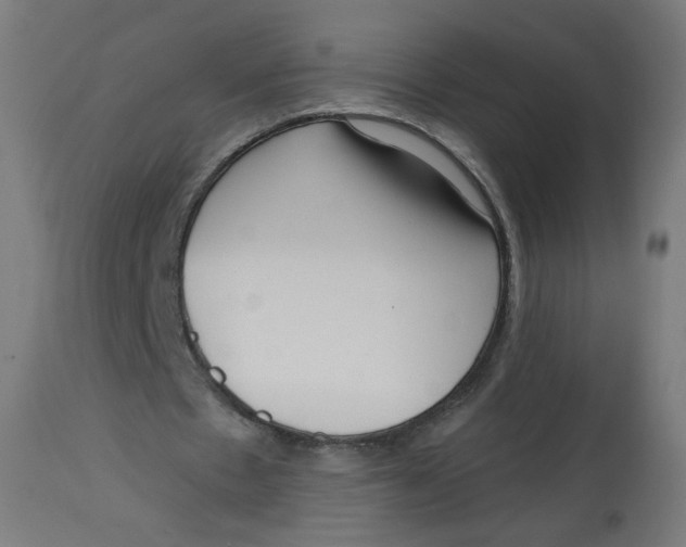 X0000112740481200909171205