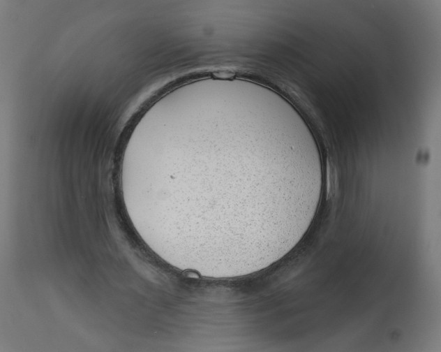 X0000112740483200909171205