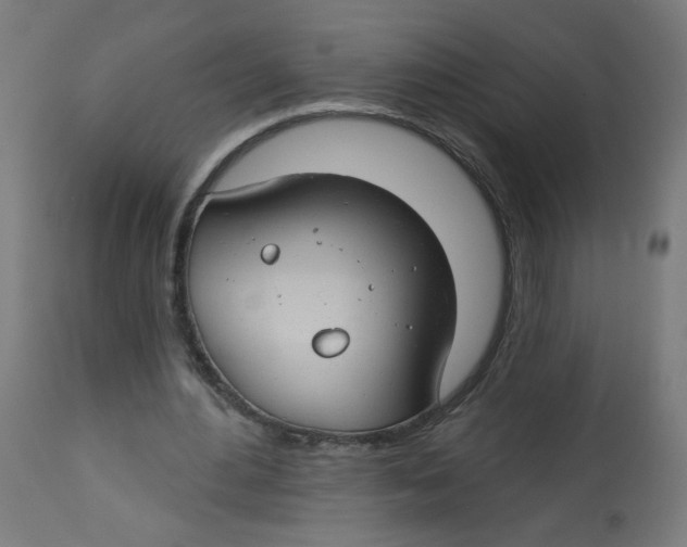 X0000112740484200909171205