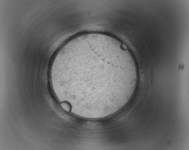 X0000112740487200909171205