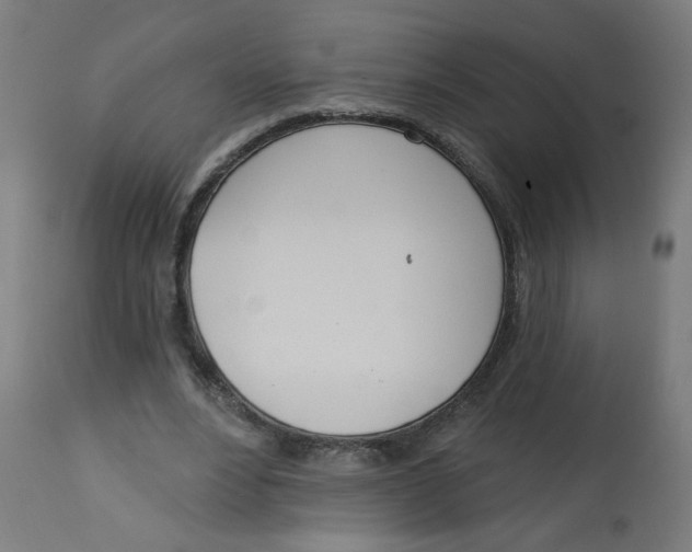 X0000112740488200909171205