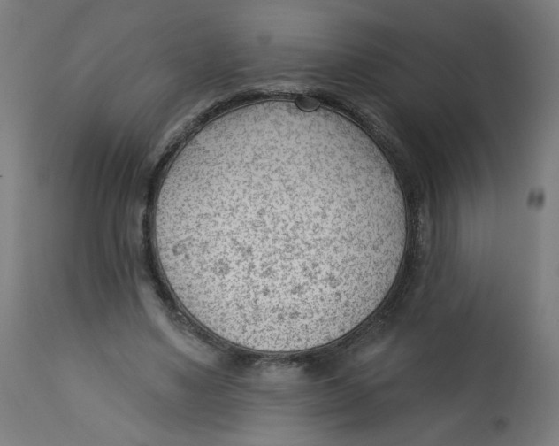 X0000112740491200909171205