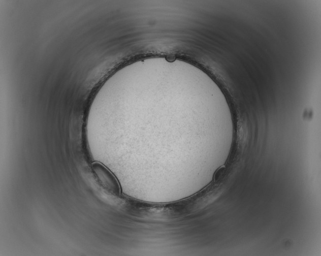 X0000112740493200909171205