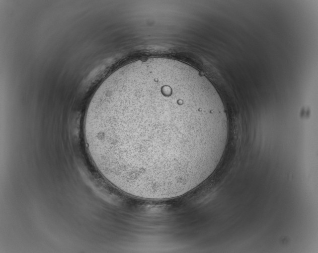 X0000112740495200909171204