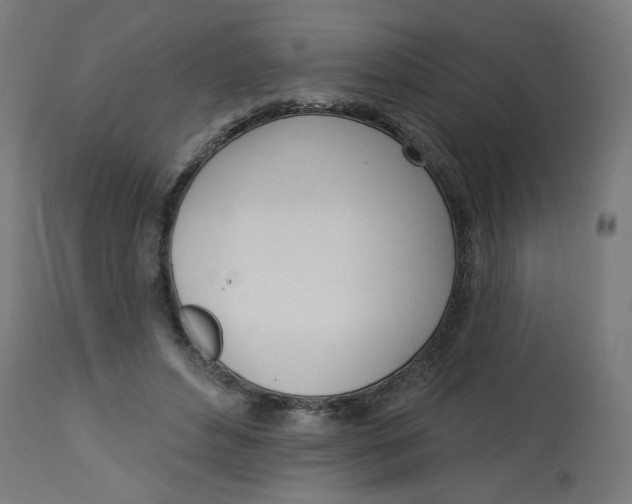 X0000112740496200909171204