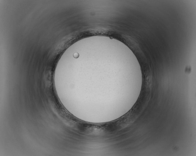 X0000112740498200909171204