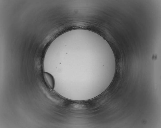 X0000112740500200909171204