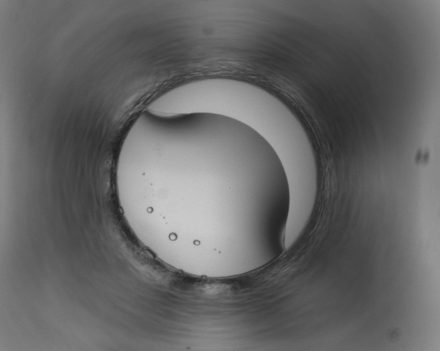 X0000112740501200909171204