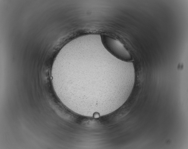 X0000112740503200909171204