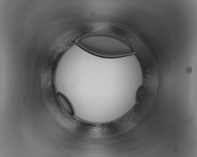 X0000112740504200909171204